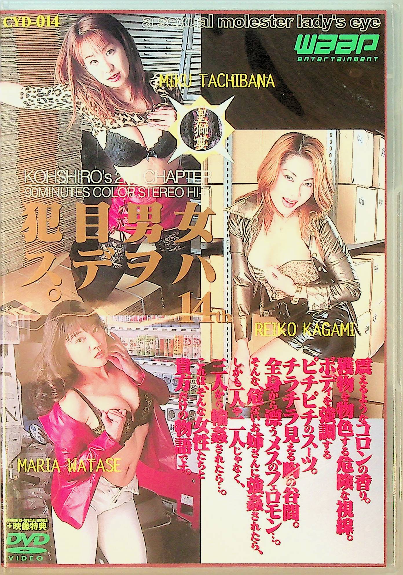 女ハ男ヲ目デ犯ス　　１４