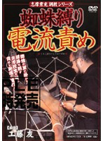 志摩紫光調教シリーズ　蜘蛛縛り電流責め