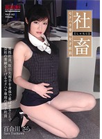 【ベストヒッツ】社畜　セクハラ専用女子社員　百合川さら【アウトレット】