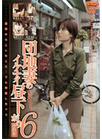 団地妻のイケナイ昼下がり　６