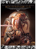 妖しきレズが哭きタコは蠢いている