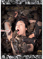 蛙が鳴き雌が哭く戯れの疼き