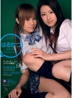 はるなつコレクション　杉崎夏希　さとうはるな