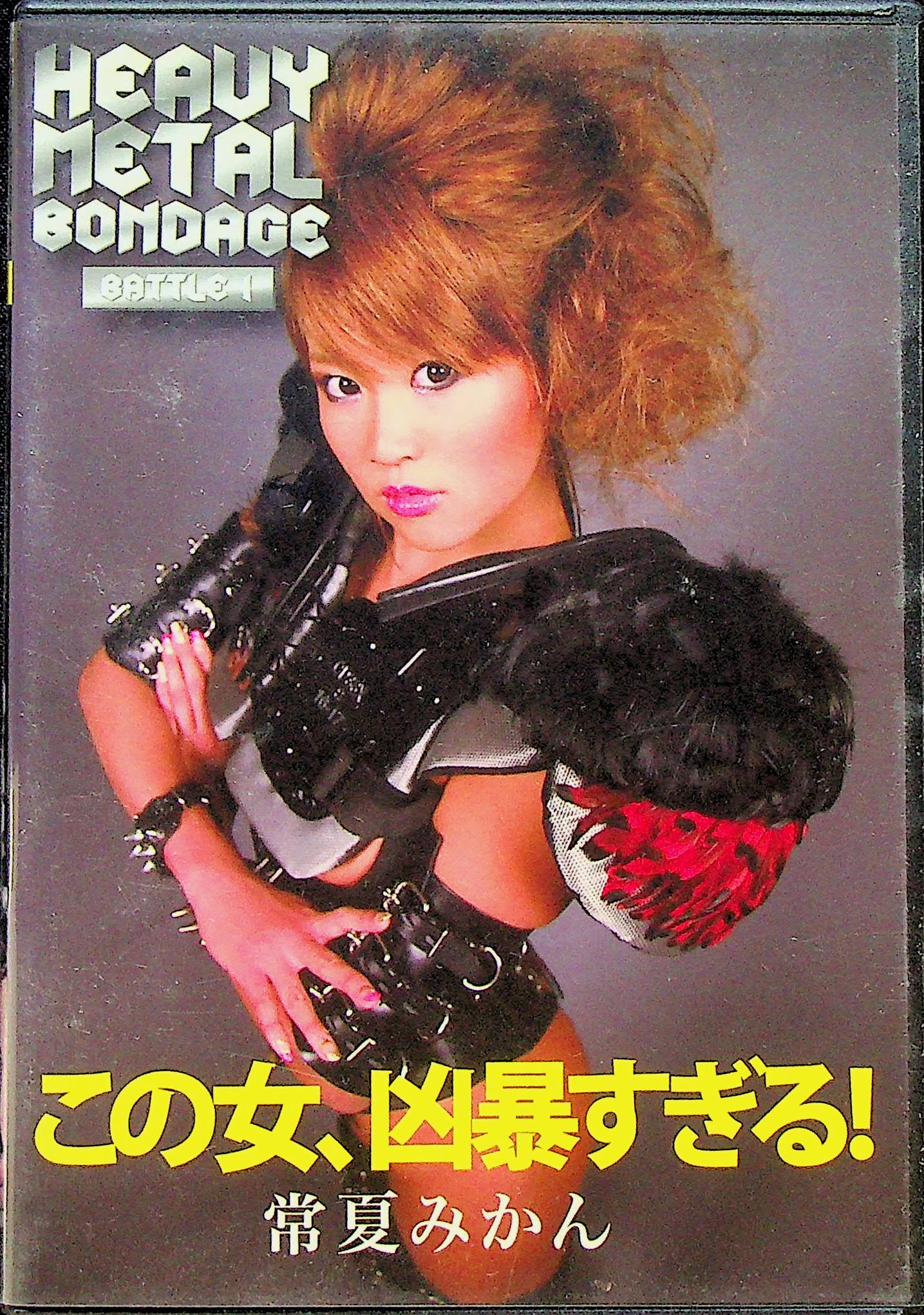 ＨＥＡＶＹ　ＭＥＴＡＬ　ＢＯＮＤＡＧＥ
