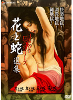 日活名作ロマンシリーズＤＶＤ－ＢＯＸ　花と蛇選集