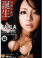 スパニッシュ系美女　安西カルラ誕生