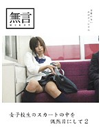 女子校生のスカートの中を偶然目にして２