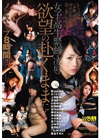 女子校生緊縛・凌●　欲望の赴くままに…（２枚組）