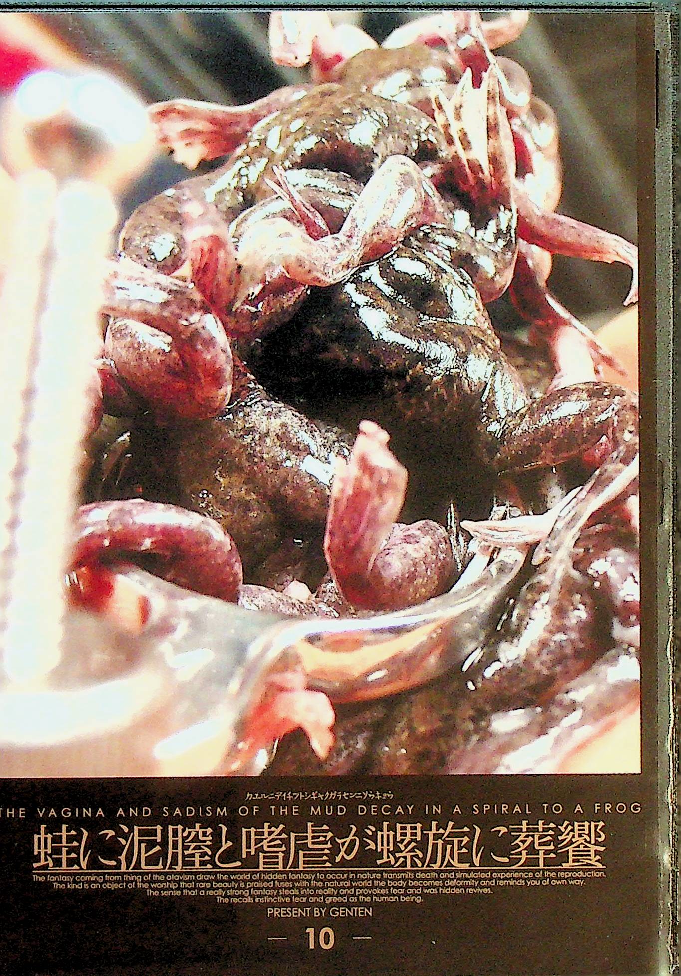 蛙に泥膣と嗜虐が螺旋に葬饗　１０