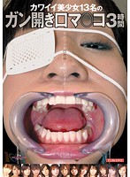 カワイイ美少女１３名のガン開き口マ○コ３時間