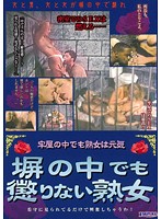 塀の中でも懲りない熟女
