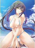 完璧お姉さま御子神沙耶の無人島孕ませ修行　（ＤＶＤＰＧ）