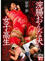 【ベストヒッツ】浣腸おんな犬女子校生妊婦　田中歩【アウトレット】