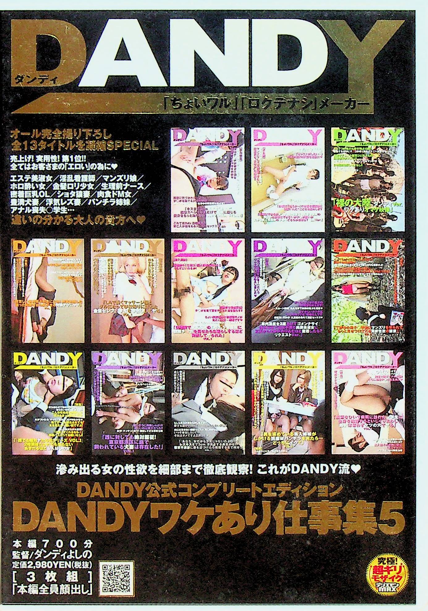 ＤＡＮＤＹワケあり仕事集５