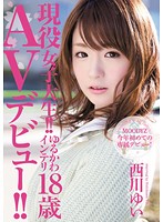 現役女子大生！！ゆるかわインテリ１８歳　ＡＶデビュー！！　西川ゆい