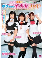 エッチな御奉仕パーフェクト！　ボクだけの美少女メイド
