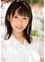 新人ＮＯ．１ＳＴＹＬＥ　河北彩花ＡＶデビュー