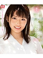 新人ＮＯ．１ＳＴＹＬＥ　河北彩花ＡＶデビュー　（ブルーレイディスク）