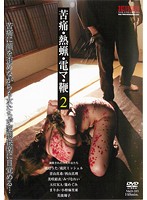 苦痛・熱蝋・電マ・鞭　２