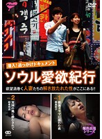 潜入！追っかけドキュメント　ソウル愛欲紀行