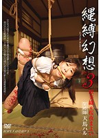 縄縛幻想　ｔｅｎ．３