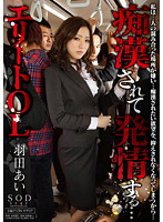 痴●されて発情する…　エリートＯＬ　羽田あい