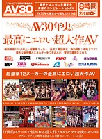 ＡＶ３０年史　４　最高にエロい超大作ＡＶ（２枚組）
