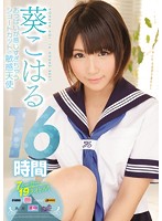 おっぱいが感じすぎちゃう　ショートカットの敏感天使　葵こはる　１６時間