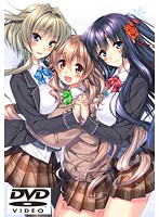 アマカノ　ＤＶＤ－ＰＧ（ＤＶＤＰＧ）