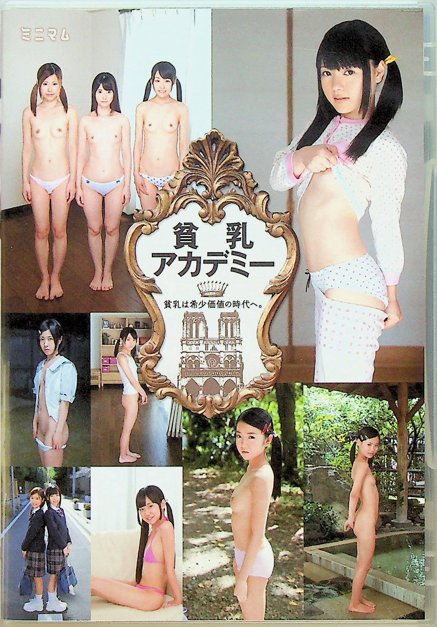 貧乳アカデミー。貧乳は希少価値の…