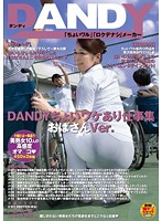 ＤＡＮＤＹちょいワケあり仕事集　おばさんＶｅｒ．