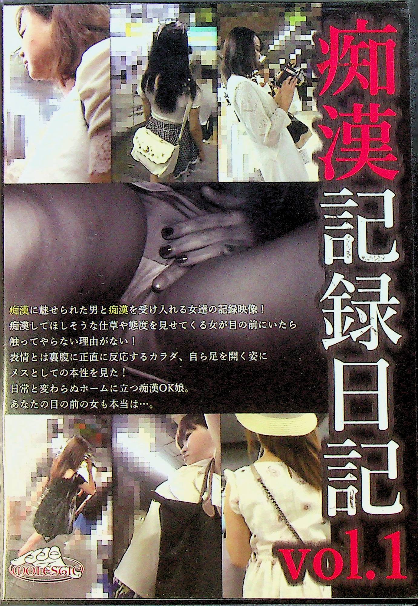 痴●記録日記　１