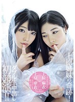 上原姉妹の奇跡！初競演！！姉妹の覚悟＊ダブル生中出し＊姉妹風呂フェラ顔射　（ＤＯＤ）