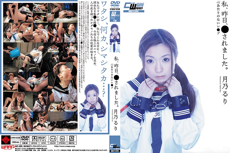 私、昨日、犯●れました。 月乃るり (DOD)
