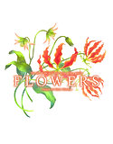 ＦＬＯＷＥＲＳサウンドドラマＣＤ『グロリオサの花言葉』