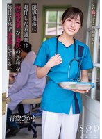 限界集落に赴任した看護師は性欲異常な島民の子種を毎日子宮で受胎している。　青空ひかり